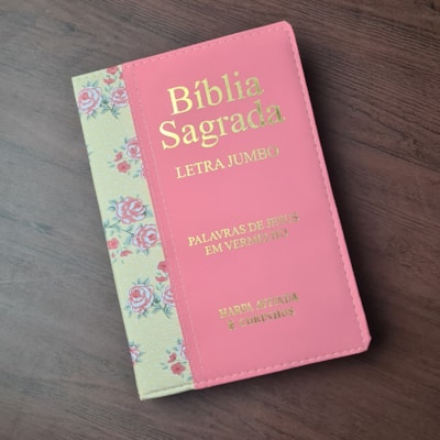 image_2d2e887f-cd95-43cd-a017-2ed19ca47135