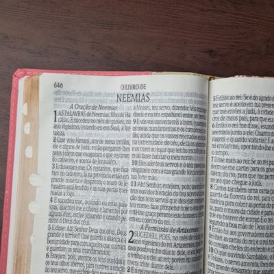 image_46c69ea9-409f-410c-ae1f-e807f0bd8229