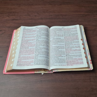 image_60e6176b-2287-421b-8bd5-37ec85dbaddb