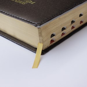 Bíblia Sagrada | ARC | Letra Jumbo | Capa Luxo Marrom