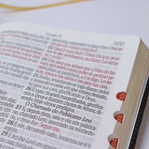 Bíblia Sagrada | ARC | Letra Jumbo | Capa Luxo Marrom