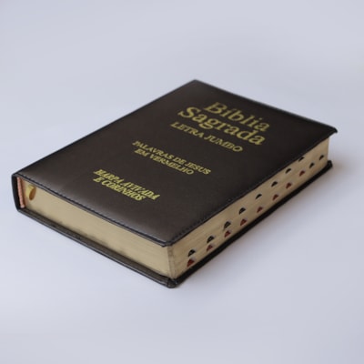 image_0802f7ed-9a98-453d-8beb-225566d18b24