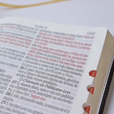 image_d760fd06-efb9-47f3-bf7a-21f9e6d5ea18