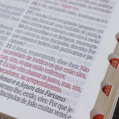 image_85ccdc29-965a-4285-96b7-f34eaa477343