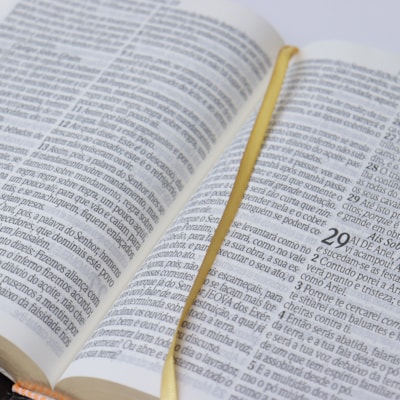 image_d8073a88-a117-413c-b8e7-d149027fa805