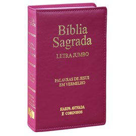 Bíblia Sagrada | ARC | Letra Jumbo | Capa Luxo Pink | Harpa Avivada e Corinhos