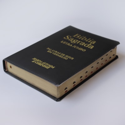 image_ba608ae7-7eff-4662-a549-062b79331c54