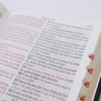 image_7ba77fa5-1ebd-4ac6-8a1c-ef161ba87f47