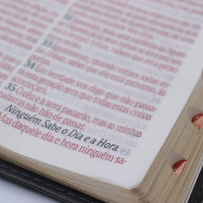 image_88134206-42e1-43cc-8a34-5c466ec99c92