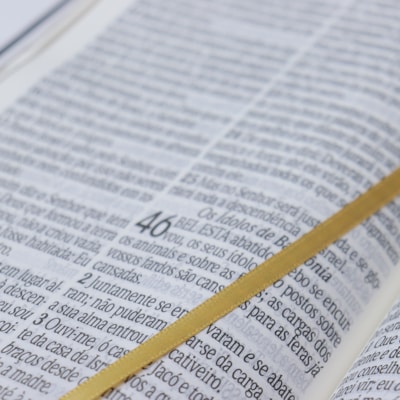 image_bbfe20ad-03f2-43b1-843e-095c97cf8bbd