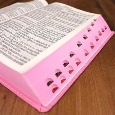 image_e3e6679b-e53a-4c86-9932-4d64ee917035