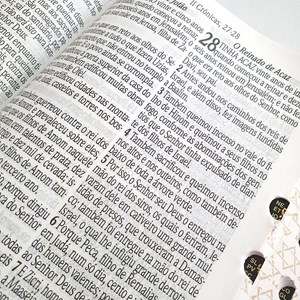 Bíblia Sagrada | ARC | Letra Jumbo | Índice | Luxo Rosa