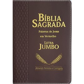 Bíblia Sagrada | ARC | Letra Jumbo | Índice | Luxo Vinho