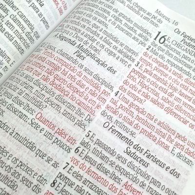 image_4b45bb5a-bd78-468c-9909-7d48f3a188ca