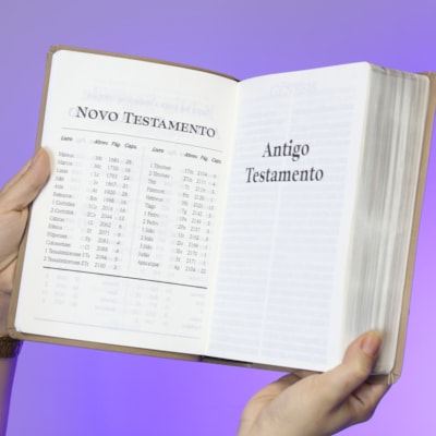 image_9233317e-6c38-46cb-bb29-62d1b4e8c488