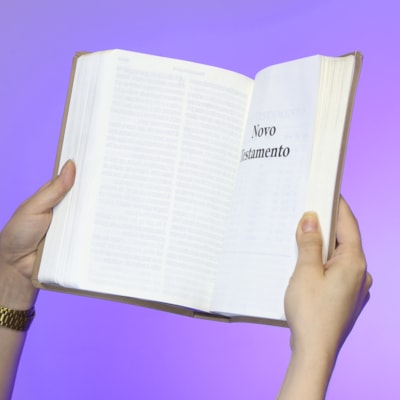 image_afe156a6-e1bf-4aed-ab67-7e569a8dbd35