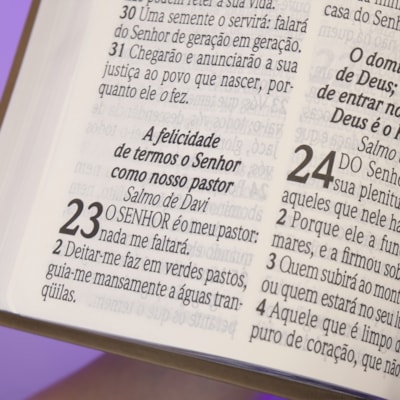 image_b2983f6a-7b6f-4ff3-9bdd-0579af14b56e