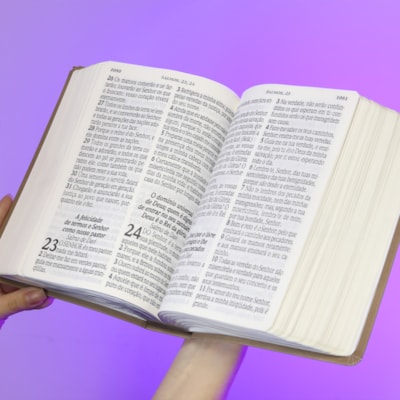 image_d13b3907-3753-459c-8cd8-6207c3df883a