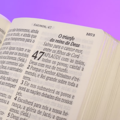 image_c46a9f1e-e1f5-4dc9-aea7-9cb7dd7a50ba