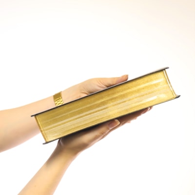 image_84e1a655-f58a-4f82-80d7-cca8b5a5ae1e