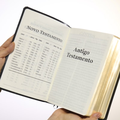 image_2ce3183a-93db-455b-9631-8da960313d91