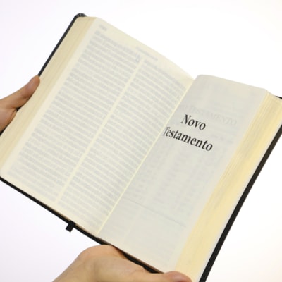 image_65bfad08-0924-484d-b25c-a8102be80abd