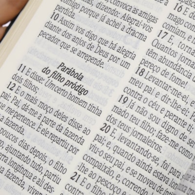 image_04961adb-e60f-4abc-b3cf-81971acbe0a5