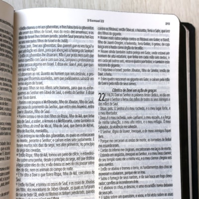 image_d7dbb9b2-382d-49db-8e8d-045aded45124