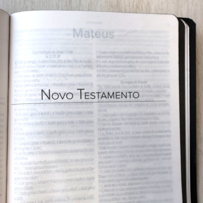 image_a109396b-8929-4f54-b9e0-365b93c11b3a