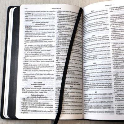 image_b95a4a85-88f2-4e46-90ab-e19802aedc7a