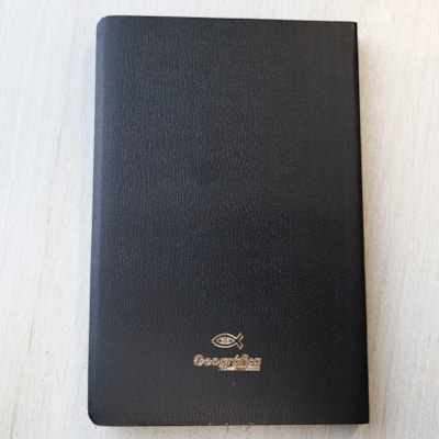 image_7823d521-b608-4ce1-905e-9af22a22fe17