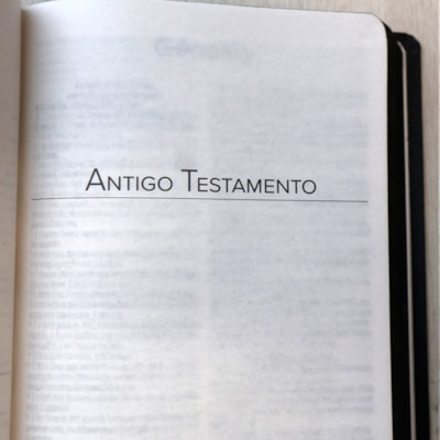 image_7e349738-500b-4bc4-993d-efa2e847c707