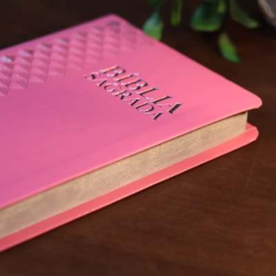 image_d9f518c5-18ee-4e7c-adff-9b32db5d5ea5