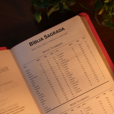 image_696301f9-f43b-4786-b613-d0377af507e0