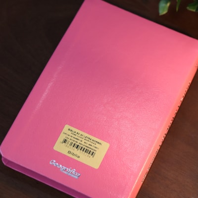 image_a78de20f-9b30-4937-a085-c723203dafa2