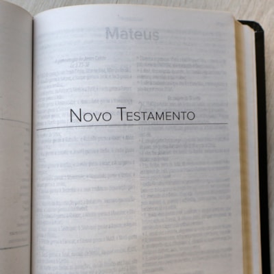 image_af8de384-fbc8-4e79-b10a-fc17f5f746d6