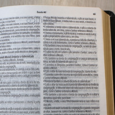 image_3ad69093-d5ee-4c2f-8d48-2a4a0f61cf6d