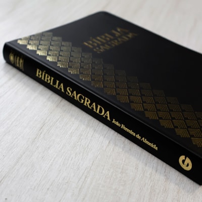 image_1a932dba-f3c4-43b0-ae76-9ed41b684246