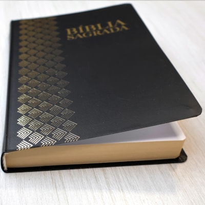 image_9a94b5b7-ec10-4b73-a53b-f8c4ef742764