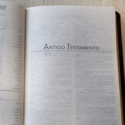 image_82f0f881-3985-40f8-8436-6db6a8d7efc9