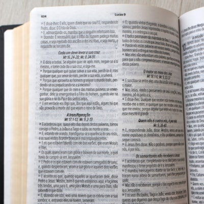 image_e8910449-d8b6-4718-a1d1-6b7d1f0f35a2