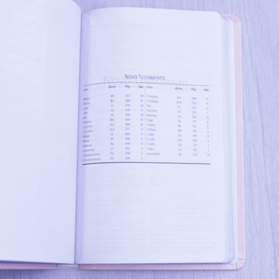 image_50282050-749d-42c2-8768-1e109f83254d