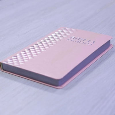 image_d5336a80-df39-4ced-a221-fc0a837a13b2