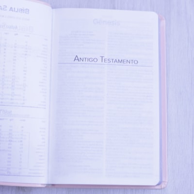 image_f82627db-b7df-47b0-a36d-07ab3ab61d75