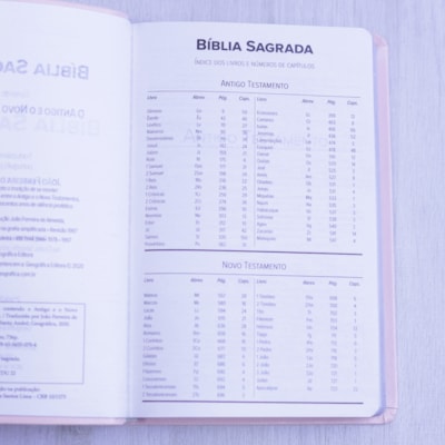 image_8ce6db82-c775-41ed-897f-1d078e245de3