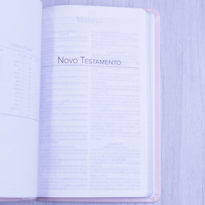 image_566813aa-4620-432a-92e0-778e7adfcae8