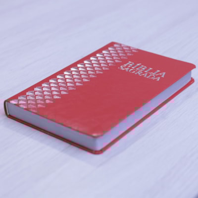 image_8d108cab-f1df-4e68-81e7-ed8ead283e69