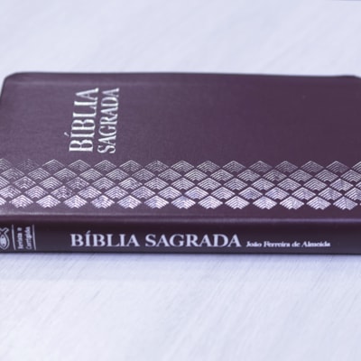 image_82d5d663-f497-4640-bbd6-9c659f05799f