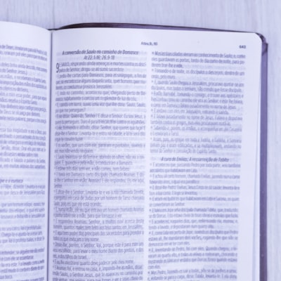 image_f2e66669-d3fe-45e7-9381-c048bb46d629