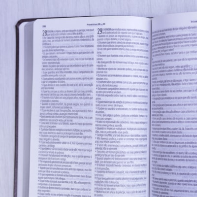 image_64cf6434-57c0-4eb0-8ce5-db16041c4a30